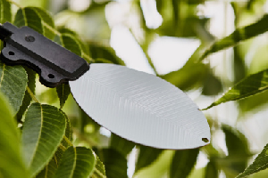 PHYTOS 31 molhamento foliar e duração