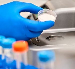 Testes Laboratoriais de Isotermas e Atividade de Água (aw)
