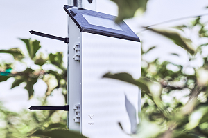 ZL6 datalogger instalado em casa de vegetação